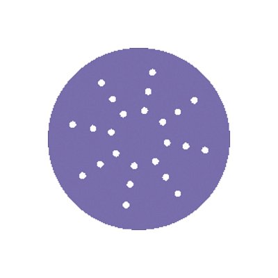 Диск шлифовальный на пленочной основе Sandwox 328 Purple Zirconia 24 отв. (225мм, Р60, 50шт) 328.225.060.24